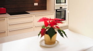 Wainsford, Manor Green